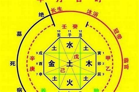 五行用神|八字入门基础 第六篇 如何判断八字喜用神